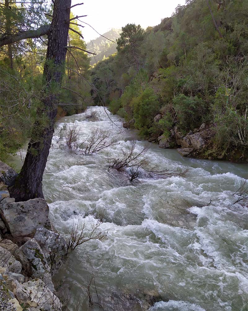 Ruta Rio Borosa - Parque Natural Sierras de Cazorla, Segura y Las Villas Ruta Rio Borosa - Parque Natural Sierras de Cazorla, Segura y Las Villas