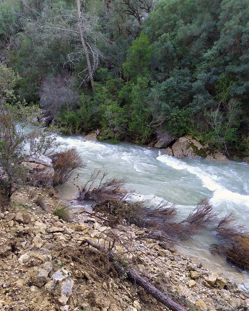 Ruta Rio Borosa - Parque Natural Sierras de Cazorla, Segura y Las Villas Ruta Rio Borosa - Parque Natural Sierras de Cazorla, Segura y Las Villas