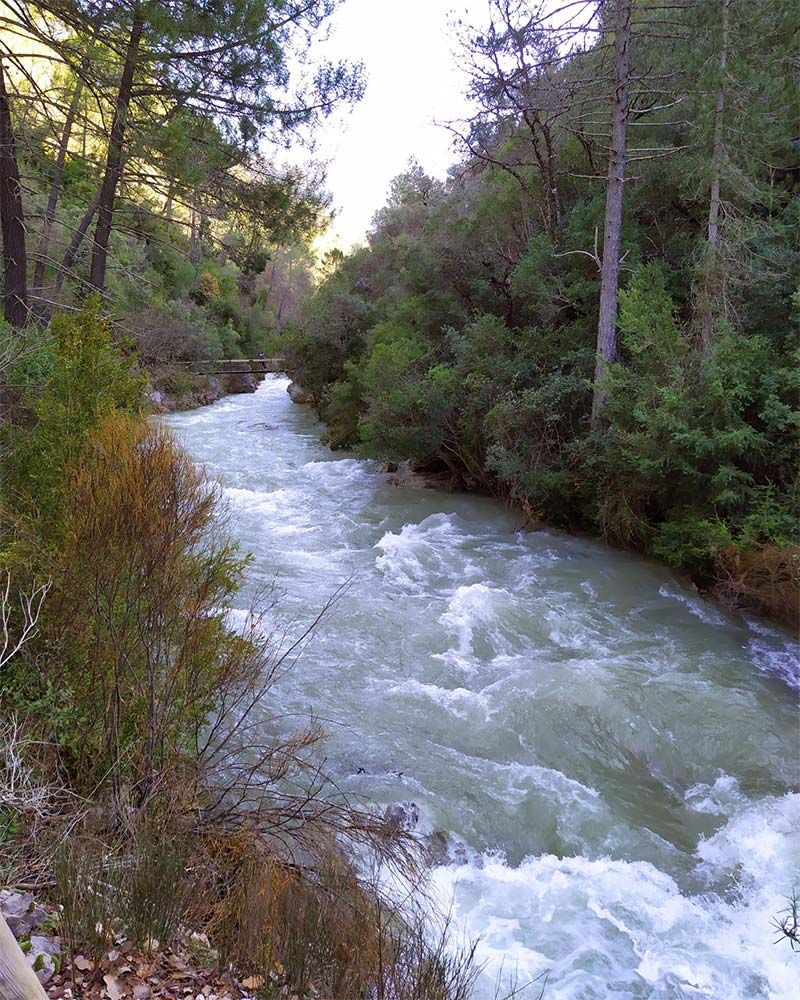 Ruta Rio Borosa - Parque Natural Sierras de Cazorla, Segura y Las Villas Ruta Rio Borosa - Parque Natural Sierras de Cazorla, Segura y Las Villas